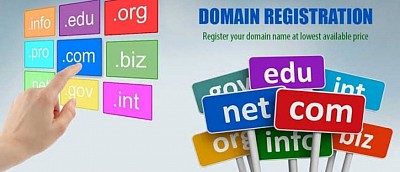 Domain Registration